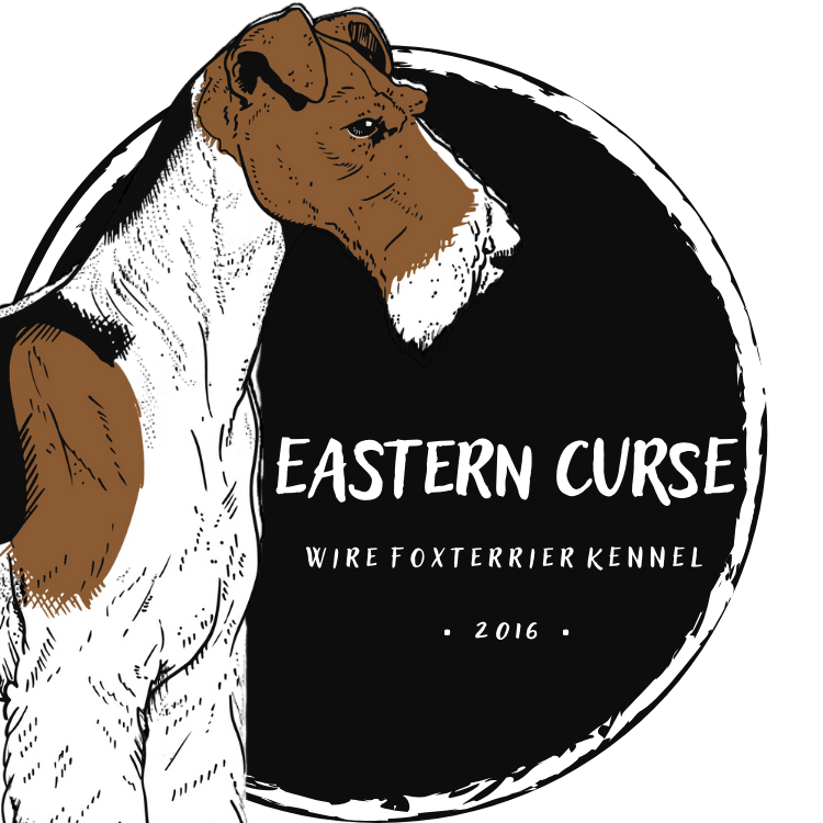 eastern curse logo