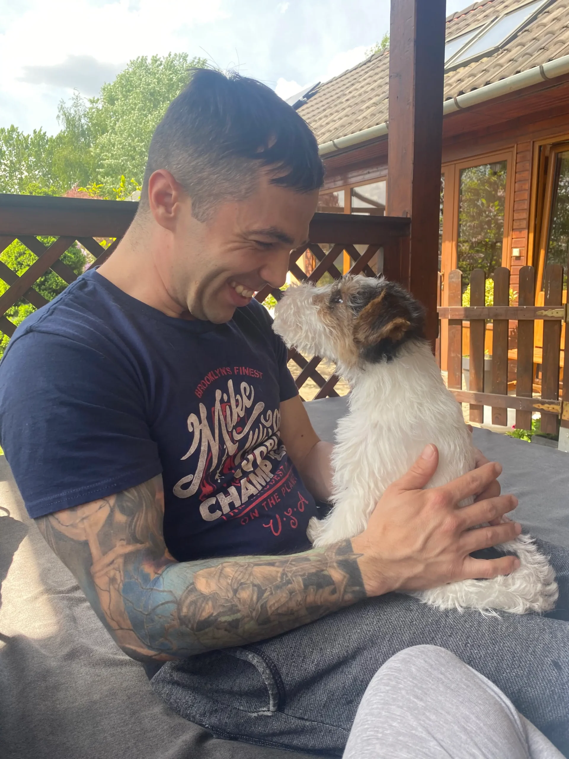 fox terrier kölyök cuki